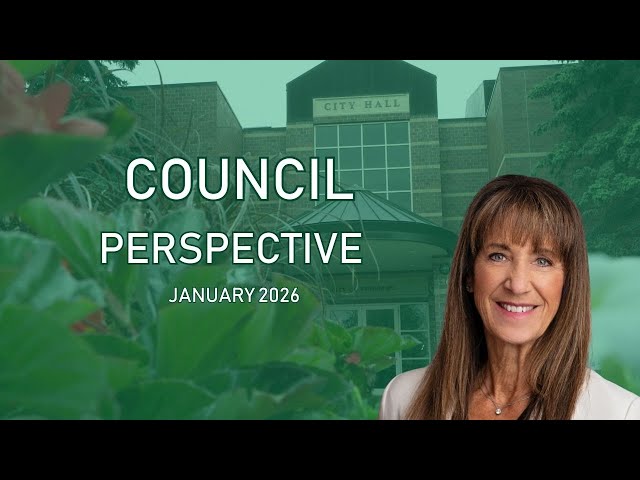 Council Perspective: January 2026