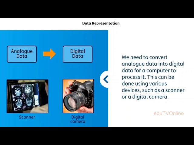 Data Representation || ICT ||Computer Science ||Animated Video