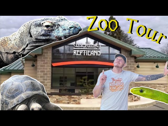 Tour of Clyde Peeling’s Reptiland