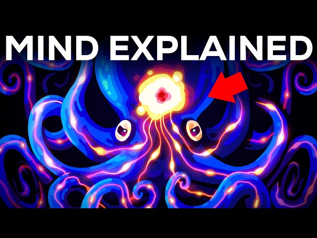 Our Minds Are Weirder than You Think