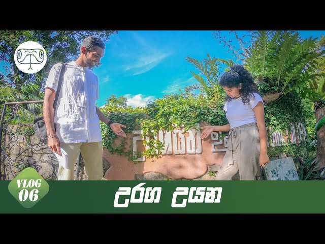 Review of the reptilium at Dehiwala National Zoological Garden | Vlog 06