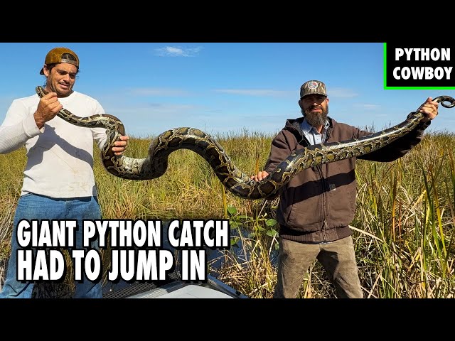 Airboat Python Hunt: Went FULL SEND for This Giant Python
