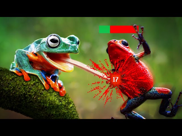 The Frog Tier List