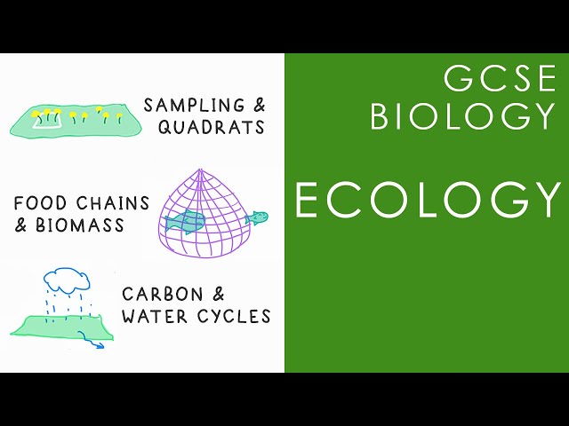 ECOLOGY - GCSE Biology
