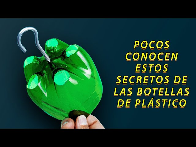 Lamento No Haber Aprendido Estas 100 Ideas Para Reciclar Botellas De Plástico A Los 40 Años