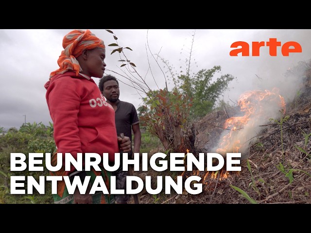 Madagaskar: Ein Raub der Flammen | ARTE Reportage Reupload