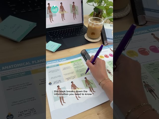NEW Anatomy & Physiology Navigator Study Guide
