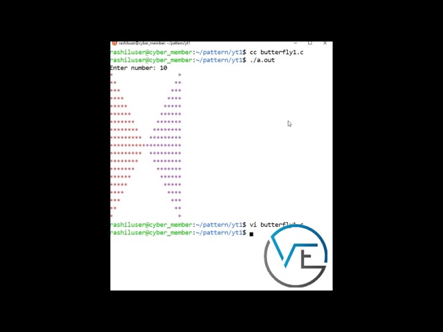 Butterfly Pattern Using C Language | Virtual Embedded | C Short 11