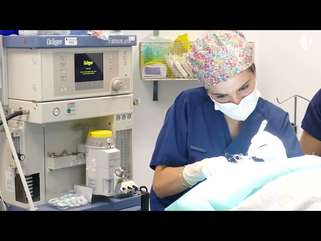 MOHS Surgery