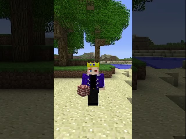 clay is the rarest block in beta minecraft