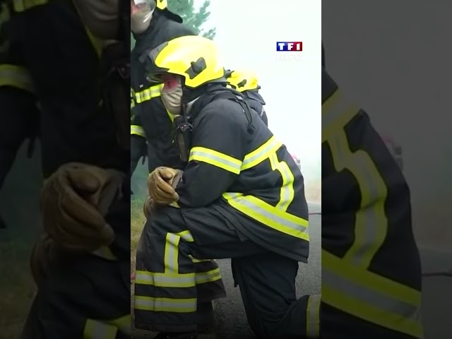 Wildfires in Gironde: Firefighters tested by the heat｜TF1 INFO