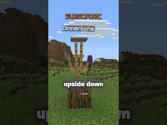 An Axe Stuck in a Log