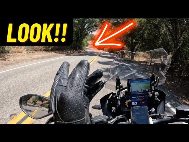 Master The Art Of Cornering In 5 Easy Steps!