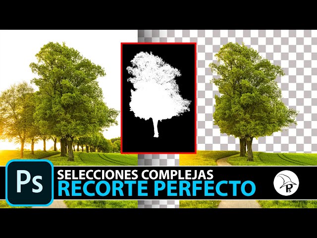Selecciones complejas en Photoshop ¡HAZ EL RECORTE PERFECTO!