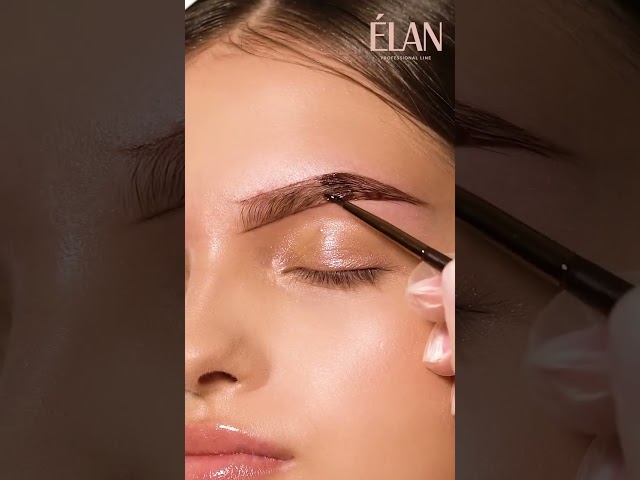 Elan Smart Brow Tint  #browlamination