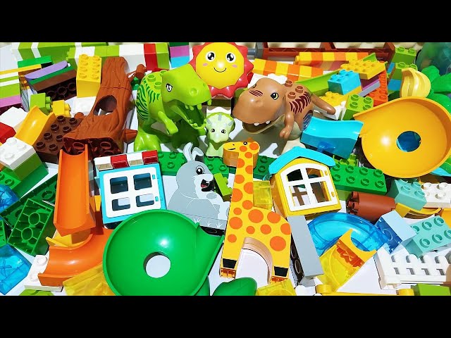 Satisfying Building Blocks ASMR Marble Run #168 Block Coaster Jurassic World and Dinosaurs live 15