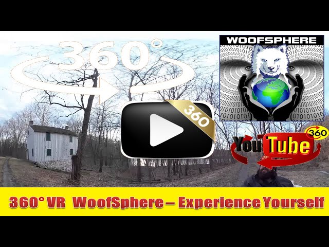 360 Videos | VR | Virtual Reality | WooFSphere | Husky Dog Cruising past an OLD Locke House