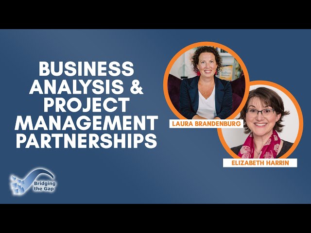 Driving Project Success: How Business Analysts & Project Managers Collaborate