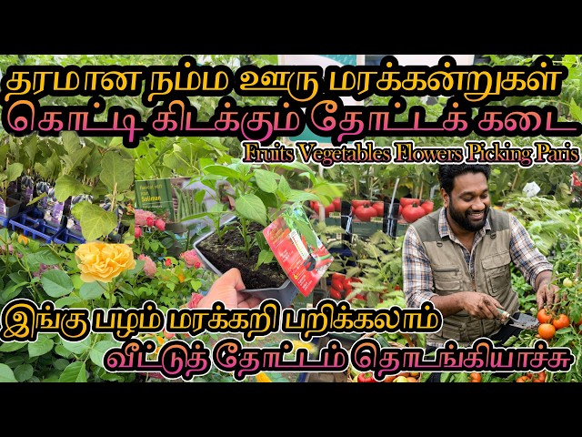 பிரான்சில் தரமான நம்ம ஊரு மரக்கன்றுகள் கொட்டி கிடக்கும் தோட்டக் கடை 😍 | பழம் மரக்கறி பறிக்கலாம்🌱🇫🇷🇨🇦