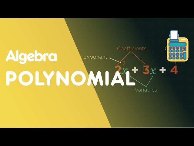 What Are Polynomials? | Algebra | Maths | FuseSchool