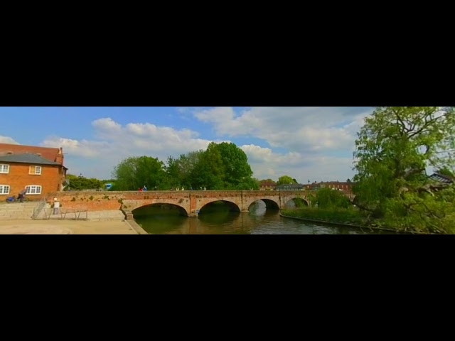 Swans of Stratford in 5.7k 3D VR 180