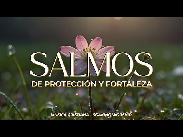 SALMOS CANTADOS 🛡️🙏 | Protección y Fortaleza en Dios ✨ | Descansa Bajo Su Poder y Encuentra Paz