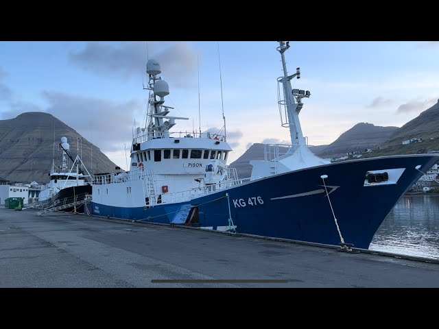Longline fishing in Greenland with Pison
