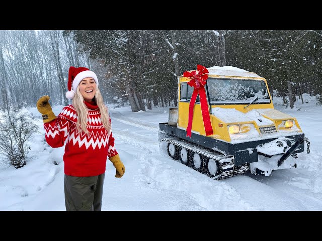 We Found Rare Snow Cat! Auction Christmas Shopping