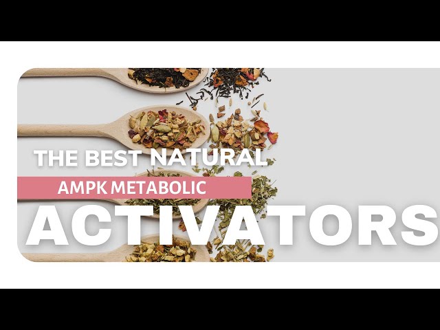 The Most Powerful AMPK Metabolic Activators
