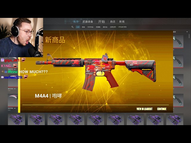 CS2's most insane inventory… a single ak is worth a house