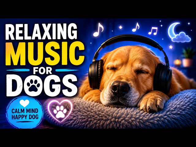 Put This On And Watch Them Snooze: DOG MUSIC