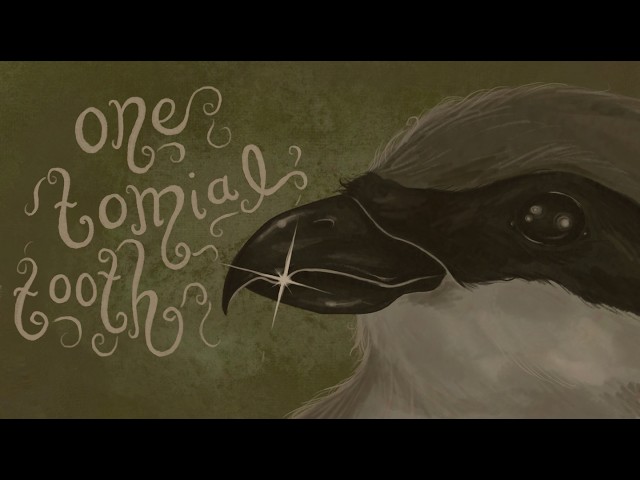 Sparkbird — November [Official Lyric Video]