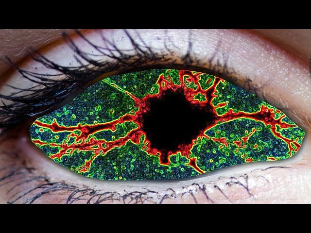 3D Visualization of a Convolutional Neural Network