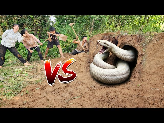 Brave Expert Digs Up and Finds a Giant White Python