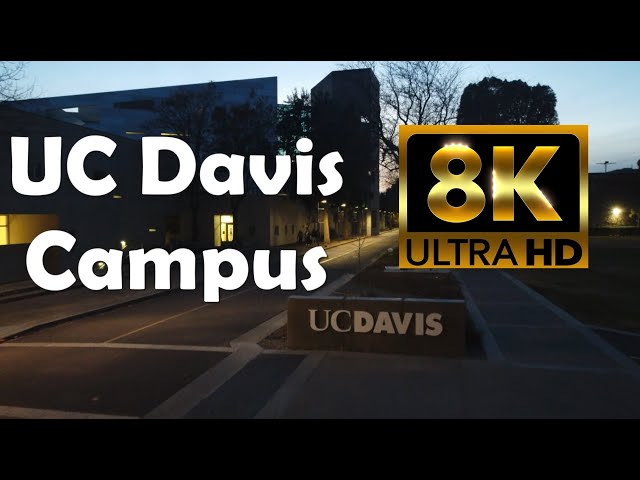 University of California, Davis | UC Davis | 8K Campus Drone Tour