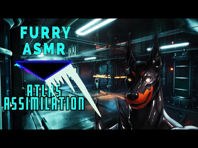 ATLAS ASSIMILATION: Doberman Drone Assimilates You Into Its Collective [FURRY ASMR]