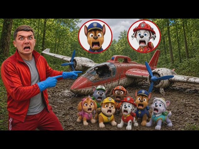 ¡Encontramos el avión de PAW PATROL abandonado tras un choque impactante! ¡Marshall en peligro!