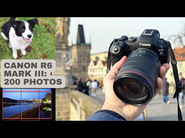 Canon R6 Mark III Review: Sample Photos & Videos from Testing