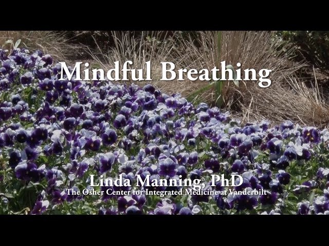 Short Mindful Breathing Exercise