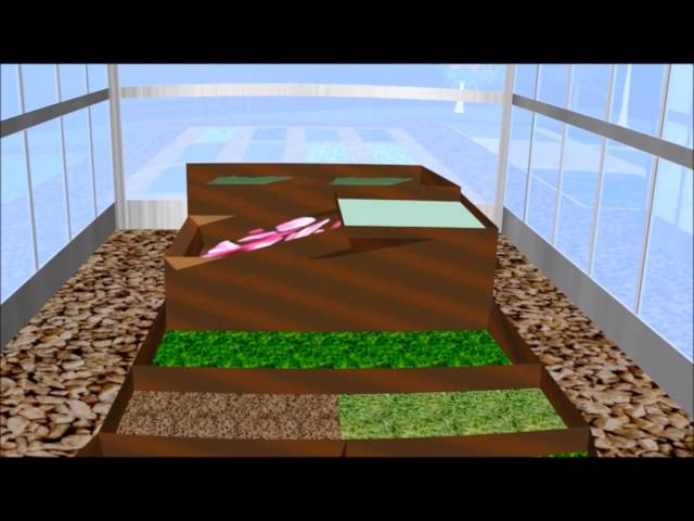 Computer Graphics Project