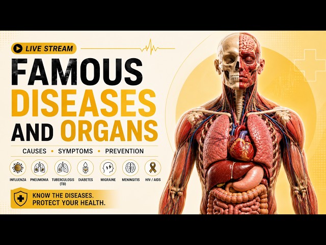 🦠 Human Body Diseases & Organs | Complete Anatomy LIVE