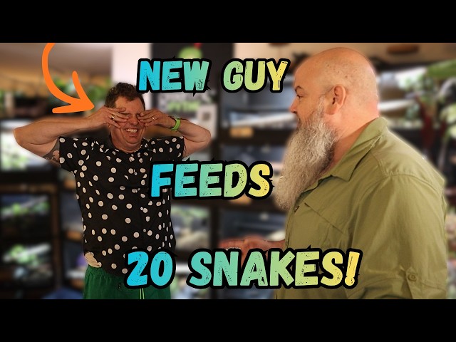 Making My Friend Feed 20 Of My Snakes! (I teach him how)