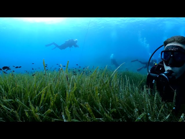 Underwater Sardinia (360 5.6K video) 360bubble Max for GoPro Max