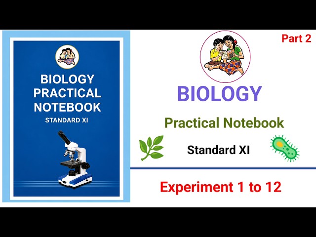 🌿 Biology Practical Notebook — Class 11 🧬 | Experiment 1 to 12 🧪 | Part 2 🎯