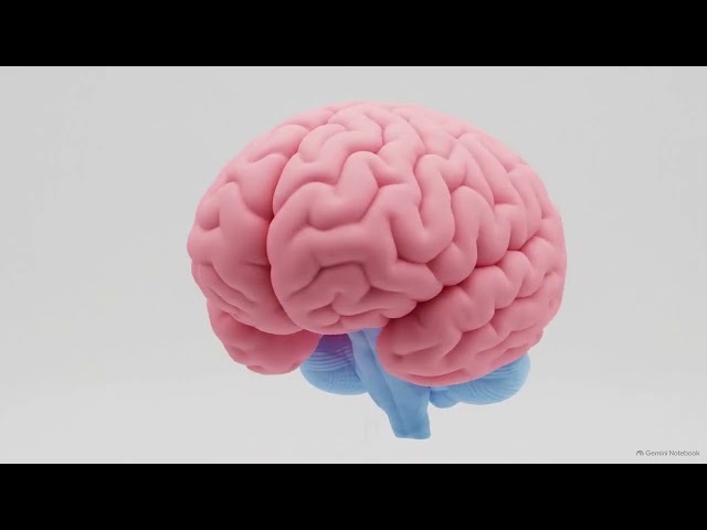 What Happens to Your Brain When AI Thinks for You?