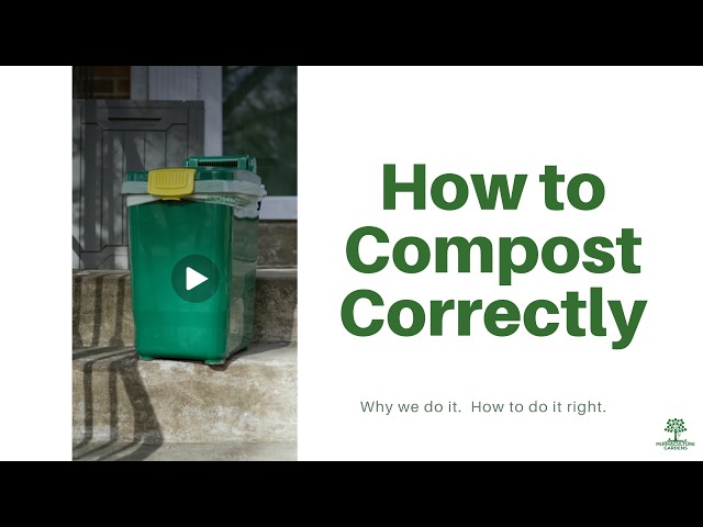 How to Compost Correctly at a Food Festival: Why We Do It and How to Do It Right