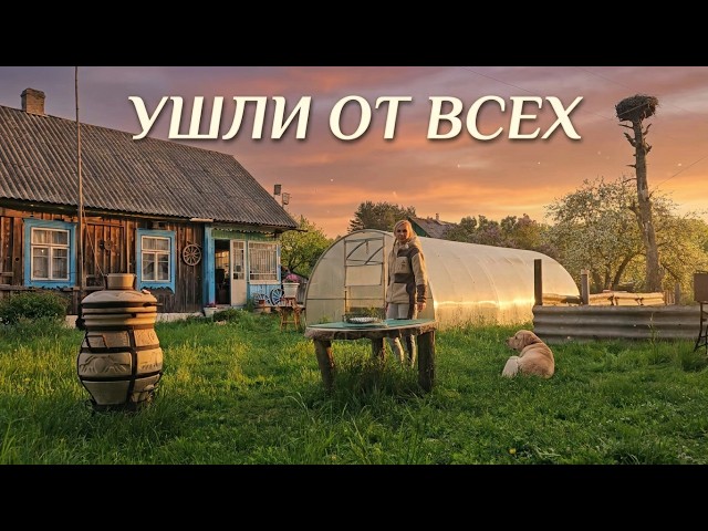 Ушли от СУМАСШЕДШЕГО мира в тихую деревню. Как мы ведем хозяйство и секреты земледелия