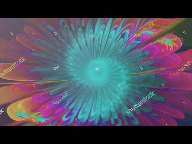 DMT Trip Replication