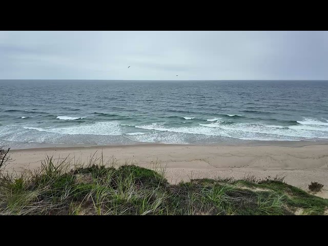 Waves wash away stress, White Crest Beach - Cape Cod
