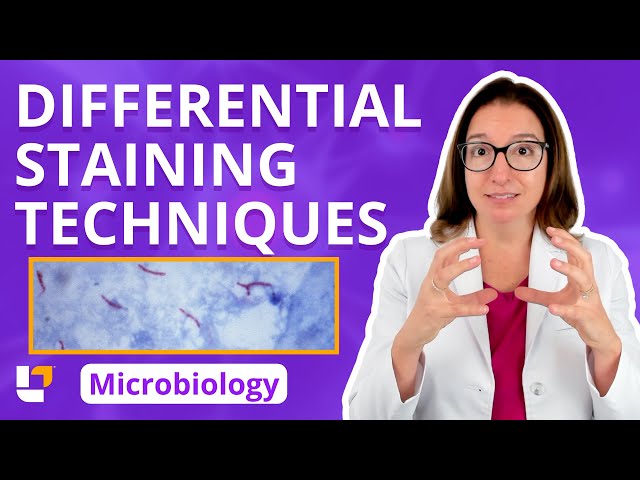 Differential Staining Techniques - Microbiology for Pre-Med, Nursing & Health Care |​⁠ @leveluprn